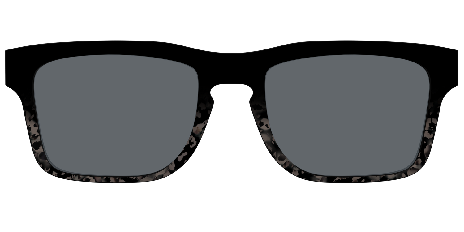 The Polarized Shaded Tortoise Sun Top - Front Top Image - Pair Eyewear