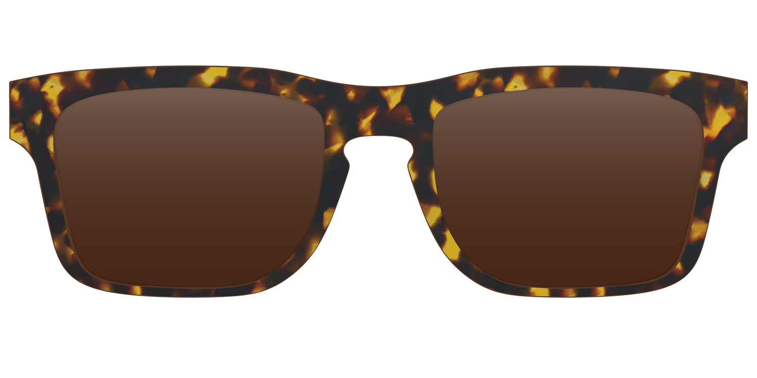 The Polarized Tortoise Sun Top - Front Top Image - Pair Eyewear