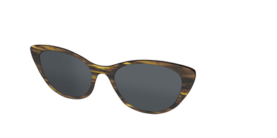 The Polarized Horn Sun Top - Angle Top Thumbnail - Pair Eyewear