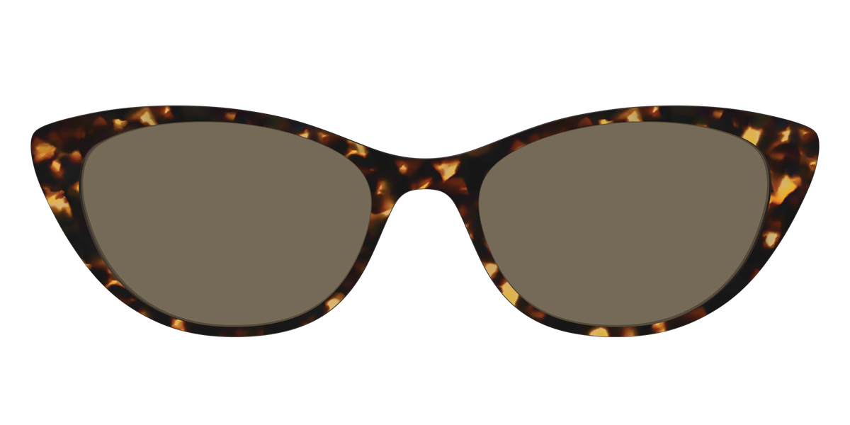The Non-Polarized Tortoise Sun Top - Front Top Image - Pair Eyewear