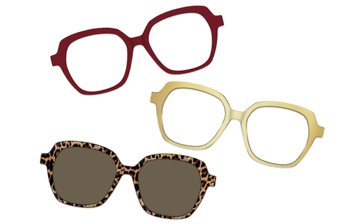Amber Tortoise with Gold Set - Pair Eyewear