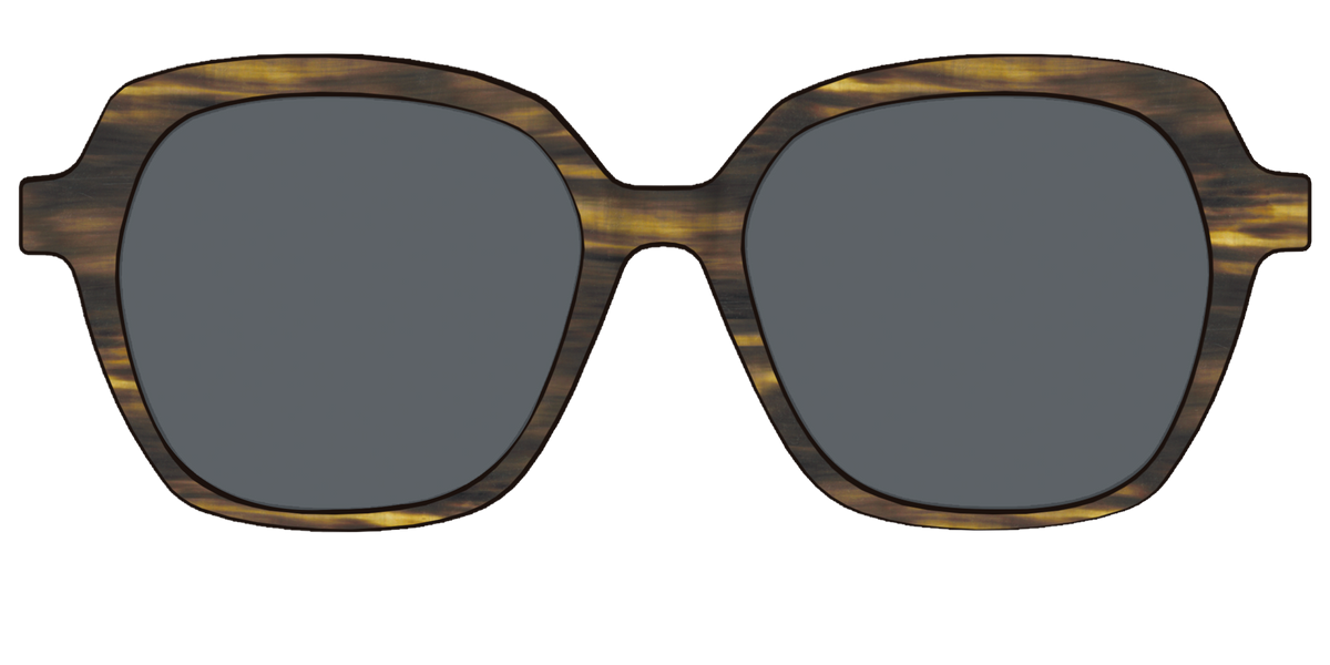 The Polarized Horn Sun Top - Front Top Image - Pair Eyewear