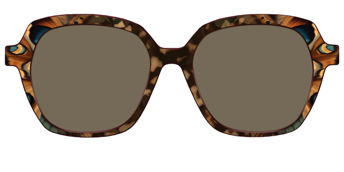 The Polarized Moth Wings Sun Top - Front Top Image - Pair Eyewear