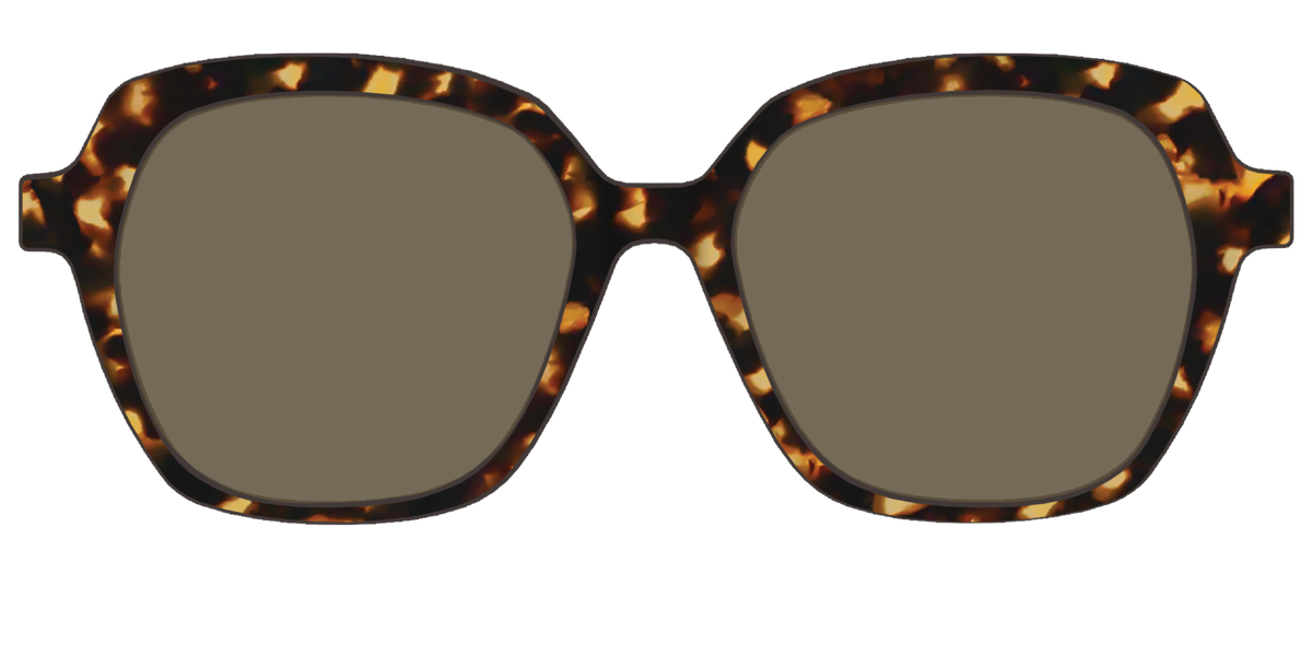 The Non-Polarized Tortoise Sun Top - Front Top Image - Pair Eyewear