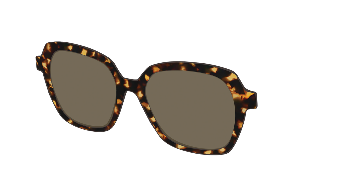 The Polarized Tortoise Sun Top - Angle Top Image - Pair Eyewear