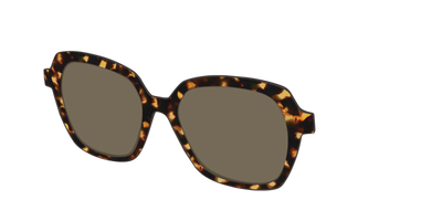 The Polarized Tortoise Sun Top - Angle Top Thumbnail - Pair Eyewear