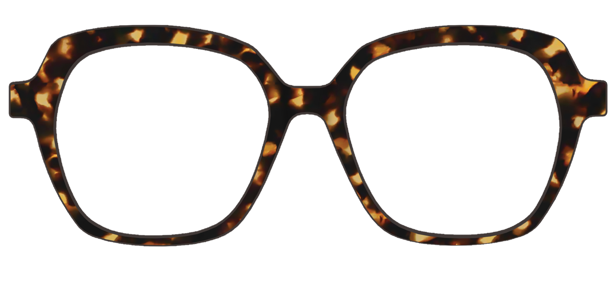 The Tortoise - Front Top Image - Pair Eyewear