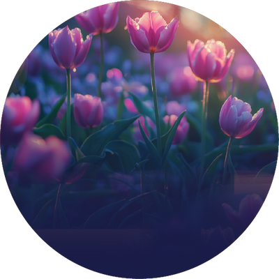 The Ember Gradient