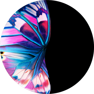 The Ember Gradient