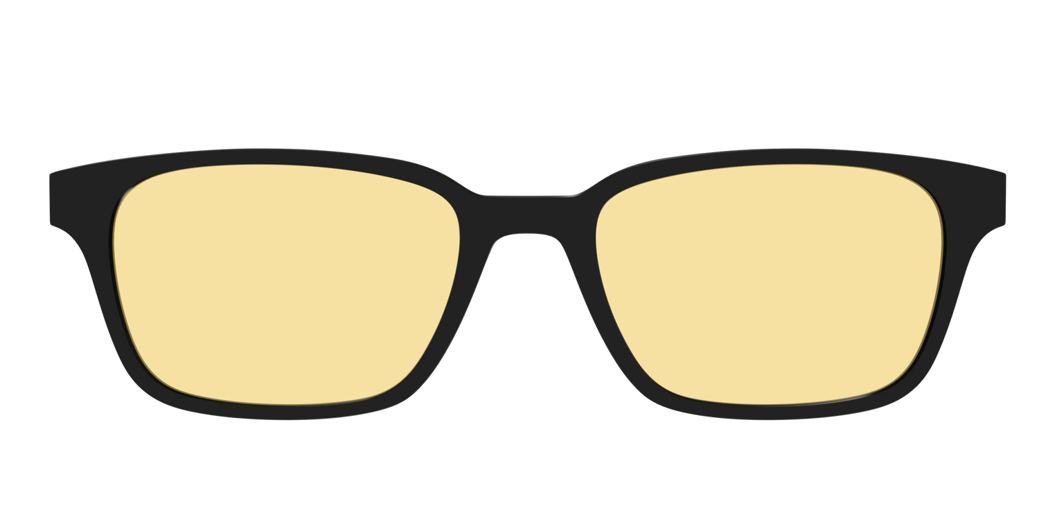 The Black With Citrine Yellow Lens - Front Top Image - Pair Eyewear