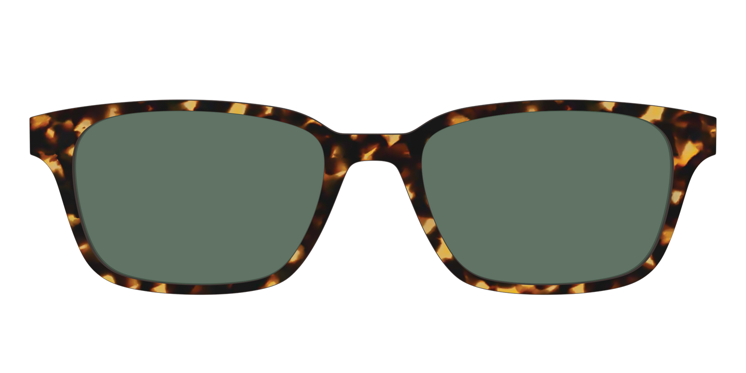 The Non-Polarized Green Tortoise Sun Top - Front Top Image - Pair Eyewear