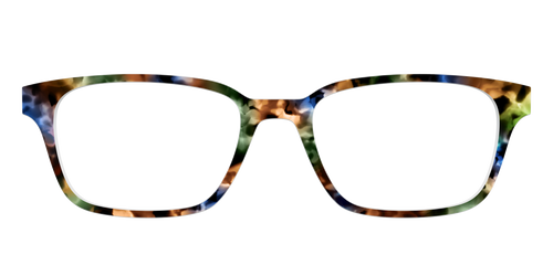 The Hearthside Tortoise - Pair Eyewear