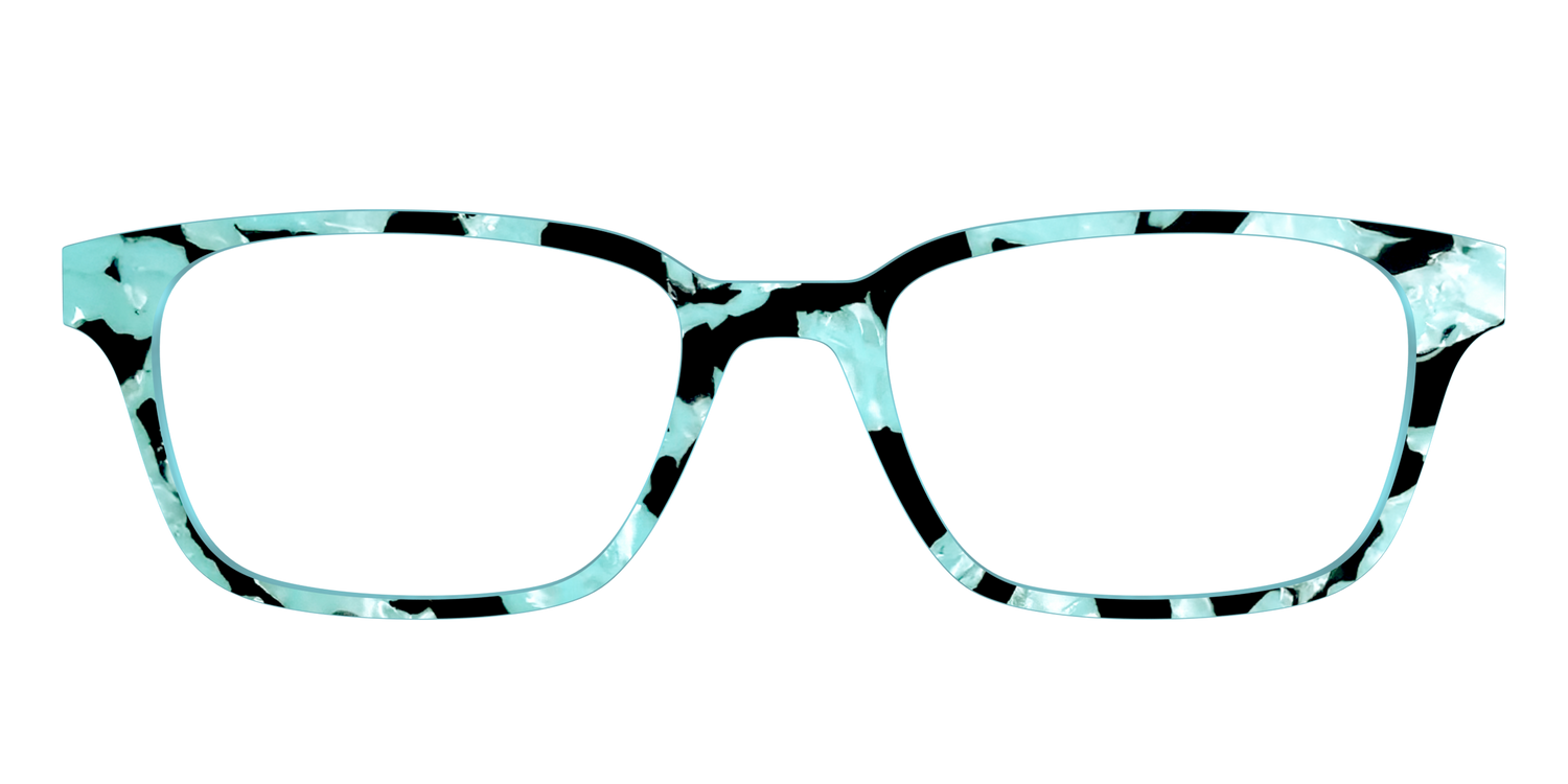 The Robin's Egg Pearl Tortoise - Front Top Image - Pair Eyewear