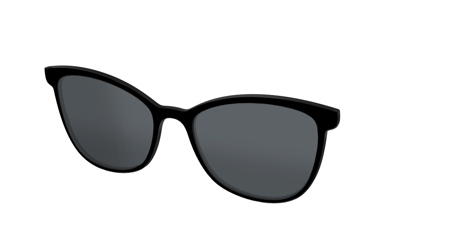 The Polarized Black Sun Top - Angle Top Image - Pair Eyewear