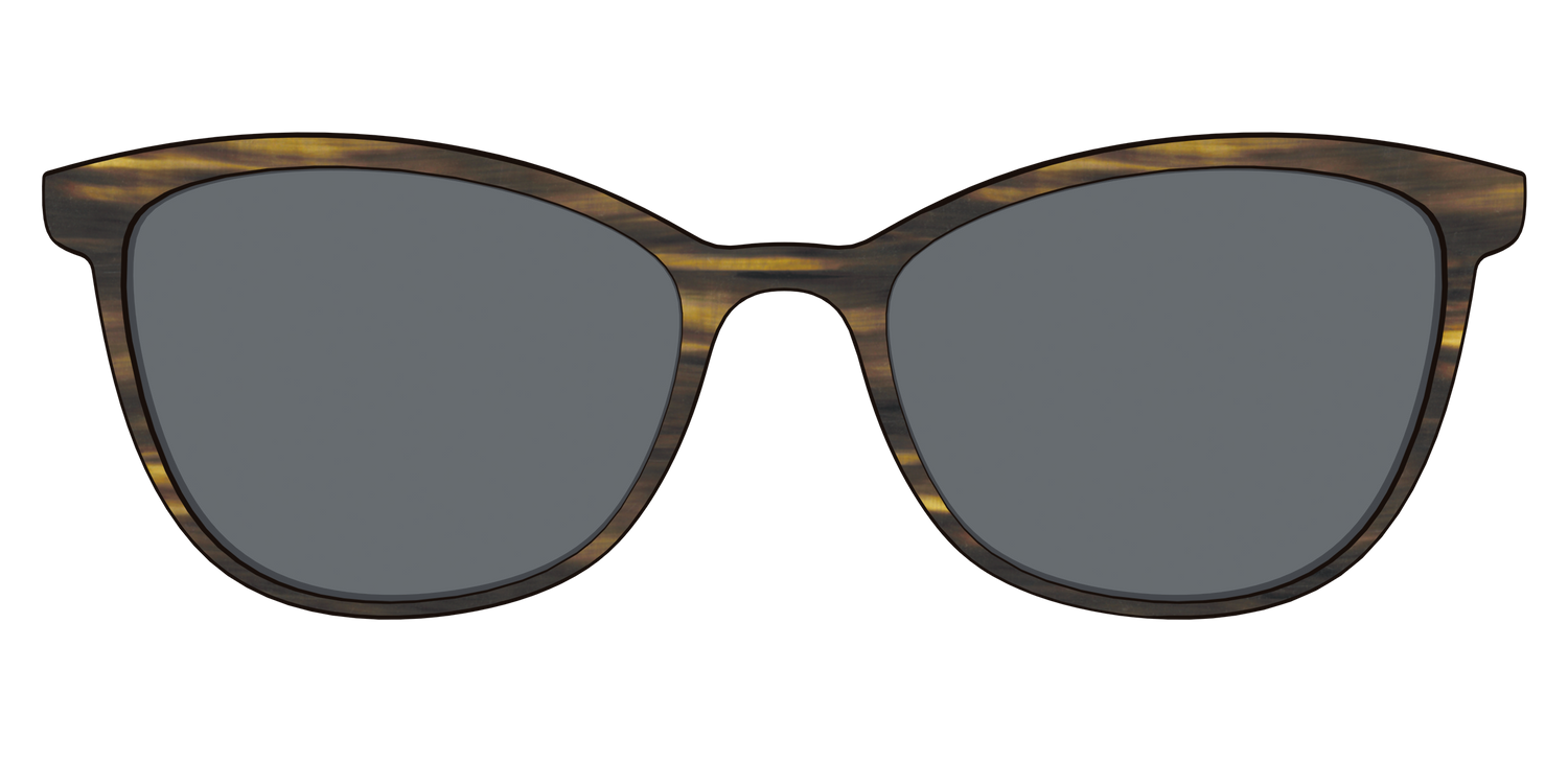 The Polarized Horn Sun Top - Front Top Image - Pair Eyewear
