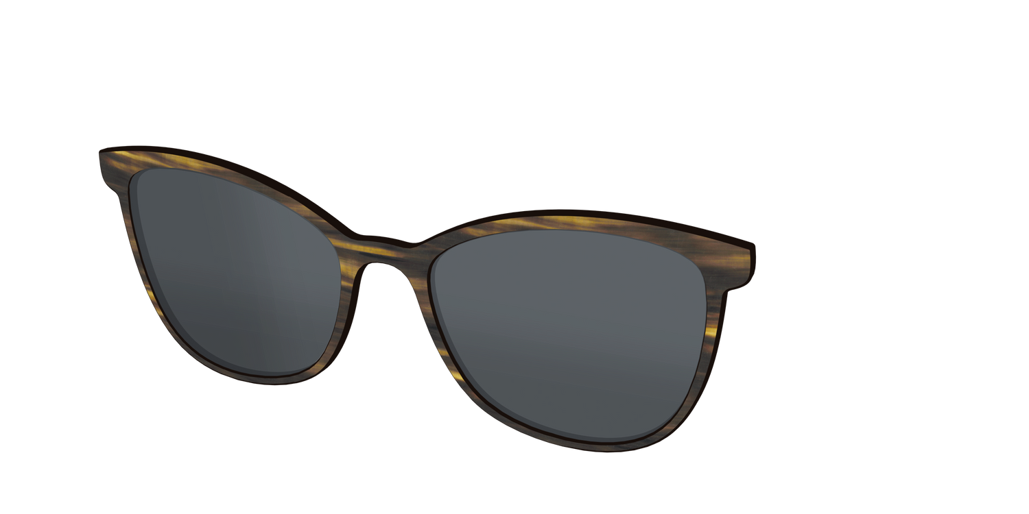 The Polarized Horn Sun Top - Angle Top Image - Pair Eyewear