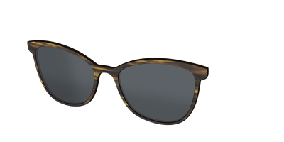 The Polarized Horn Sun Top - Angle Top Thumbnail - Pair Eyewear