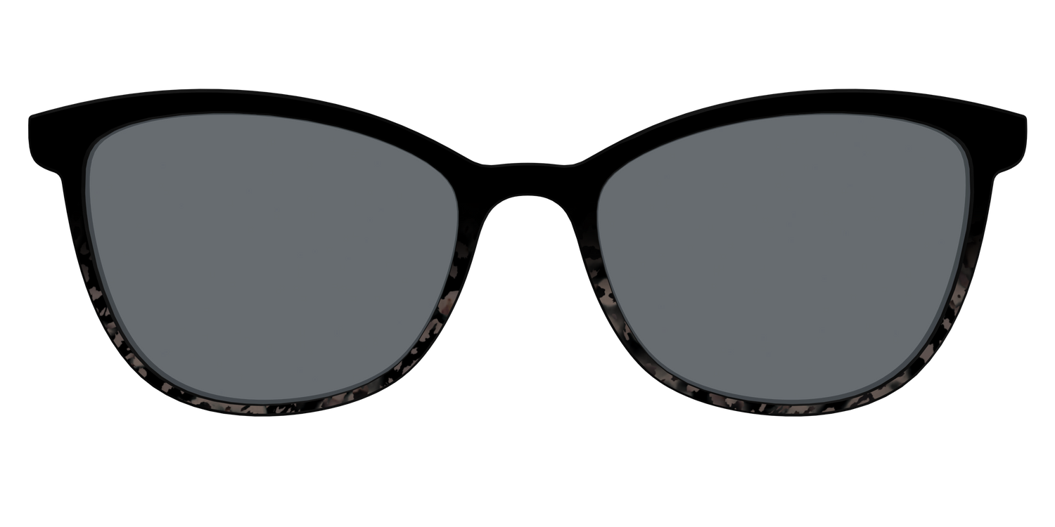 The Polarized Shaded Tortoise Sun Top - Front Top Image - Pair Eyewear