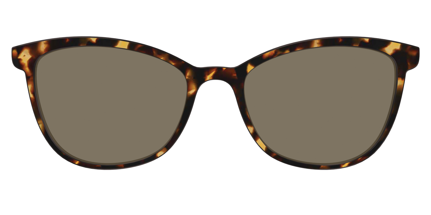 The Polarized Tortoise Sun Top - Front Top Image - Pair Eyewear