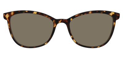 The Polarized Tortoise Sun Top - Front Top Thumbnail - Pair Eyewear