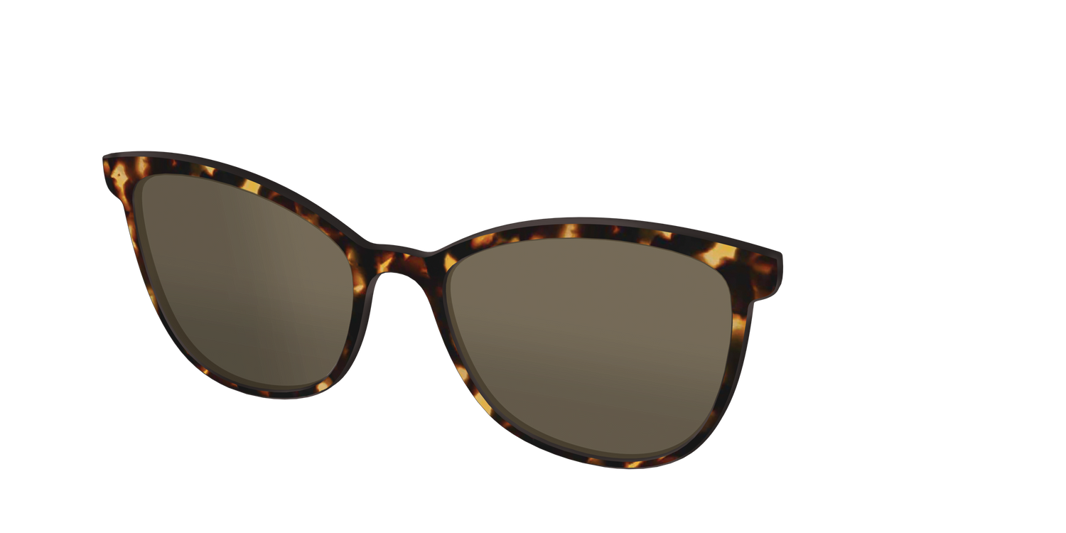 The Polarized Tortoise Sun Top - Angle Top Image - Pair Eyewear