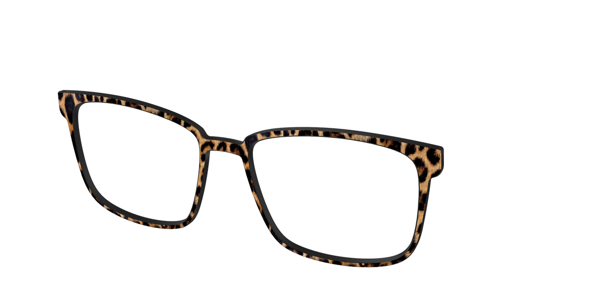 The Cheetah Spots - Angle Top Image - Pair Eyewear