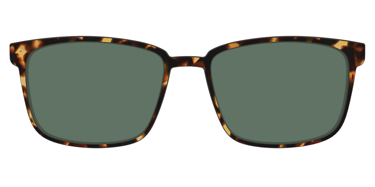 The Non-Polarized Green Tortoise Sun Top - Front Top Image - Pair Eyewear
