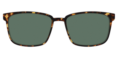 The Non-Polarized Green Tortoise Sun Top - Front Top Thumbnail - Pair Eyewear