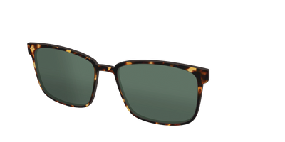 The Non-Polarized Green Tortoise Sun Top - Angle Top Thumbnail - Pair Eyewear