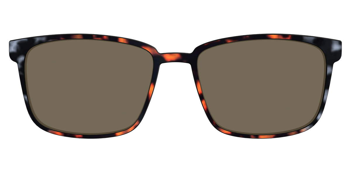 The Polarized Gray & Amber Tortoise Sun Top - Front Top Image - Pair Eyewear