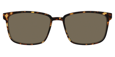 The Polarized Tortoise Sun Top - Front Top Thumbnail - Pair Eyewear