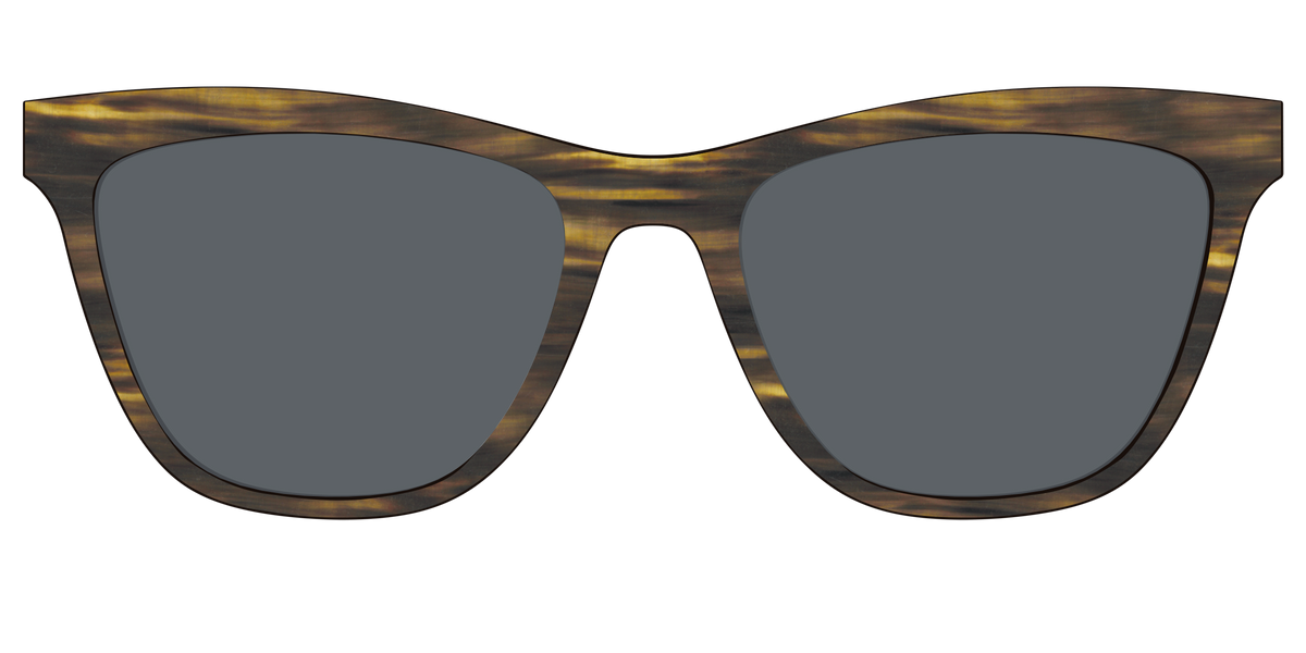 The Polarized Horn Sun Top - Front Top Image - Pair Eyewear