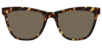 The Non-Polarized Tortoise Sun Top - Front Top Thumbnail - Pair Eyewear