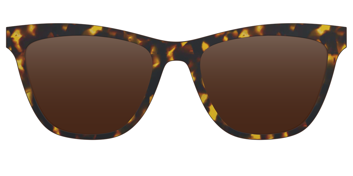 The Polarized Tortoise Sun Top - Front Top Image - Pair Eyewear