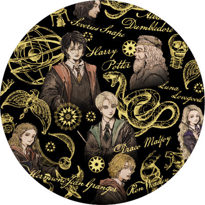 The Hogwarts™ Artifacts
