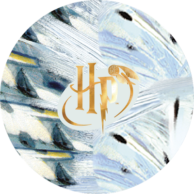 The Hogwarts™ Artifacts