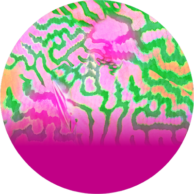 The Tropical Leopard