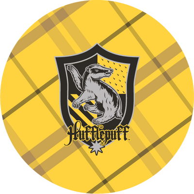 The Hogwarts™ Artifacts
