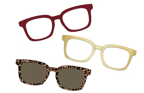 Amber Tortoise with Gold Set - Pair Eyewear