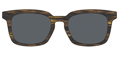The Polarized Horn Sun Top - Front Top Thumbnail - Pair Eyewear