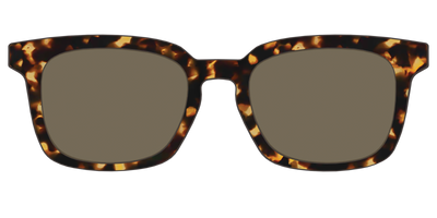 The Non-Polarized Tortoise Sun Top - Front Top Thumbnail - Pair Eyewear