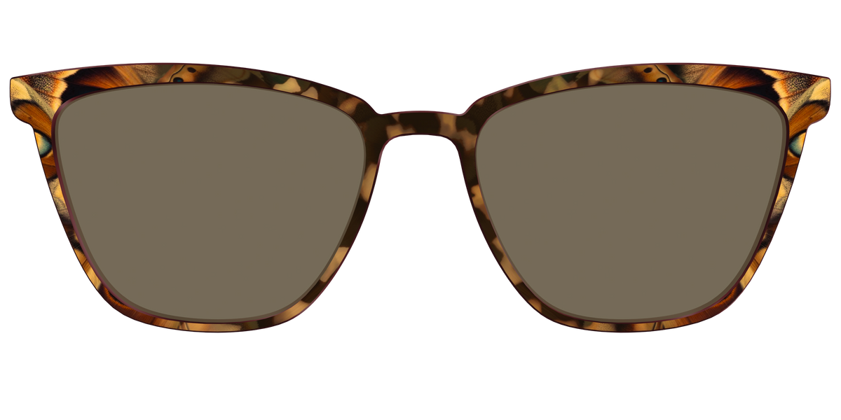 The Polarized Moth Wings Sun Top - Front Top Image - Pair Eyewear