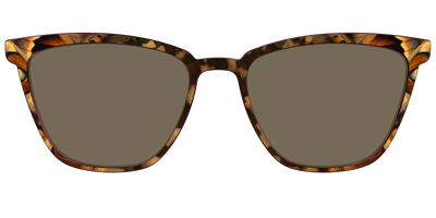 The Polarized Moth Wings Sun Top - Front Top Thumbnail - Pair Eyewear