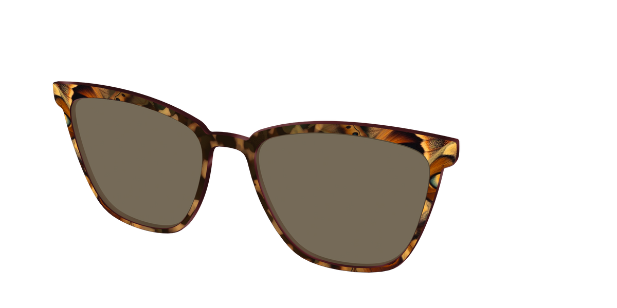 The Polarized Moth Wings Sun Top - Angle Top Image - Pair Eyewear
