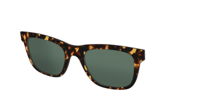 The Non-Polarized Green Tortoise Sun Top - Angle Top Thumbnail - Pair Eyewear