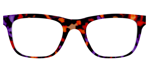 The Halloween Tortoise - Pair Eyewear