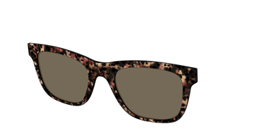 The Polarized Sienna Tortoise Sun Top - Angle Top Thumbnail - Pair Eyewear