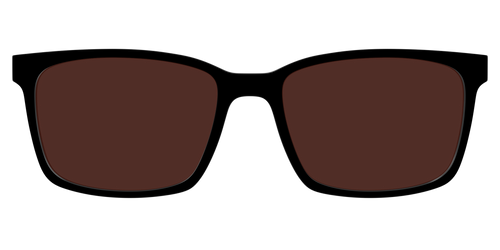 The Black with Brown Golf Lens - Kirby Top - Pair Eyewear
