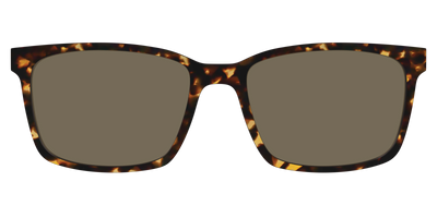 The Non-Polarized Tortoise Sun Top - Front Top Thumbnail - Pair Eyewear