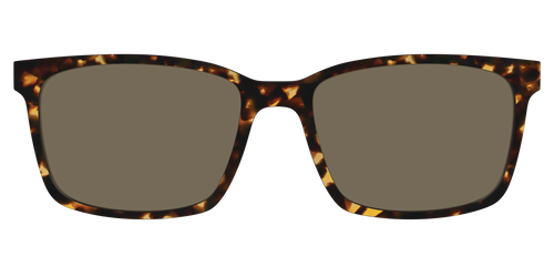 The Non-Polarized Tortoise Sun Top - Kirby Top - Pair Eyewear
